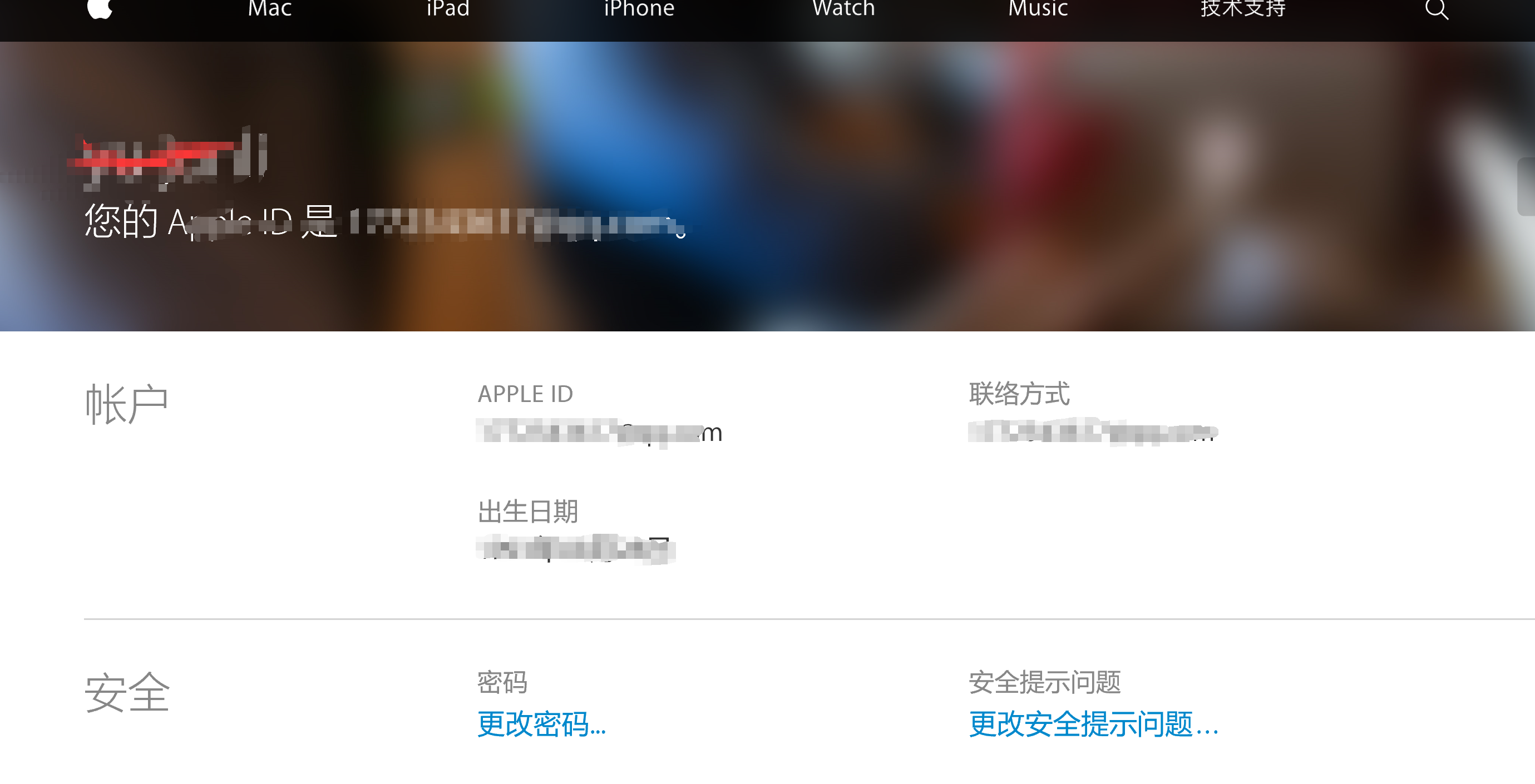 申请Apple ID操作截图